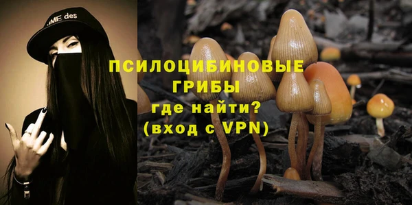каннабис Алзамай