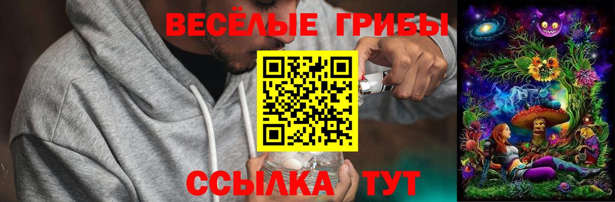 Галлюциногенные грибы Psilocybe  Галлюциногенные грибы MAGIC MUSHROOMS  Вход с VPN  Челябинск 